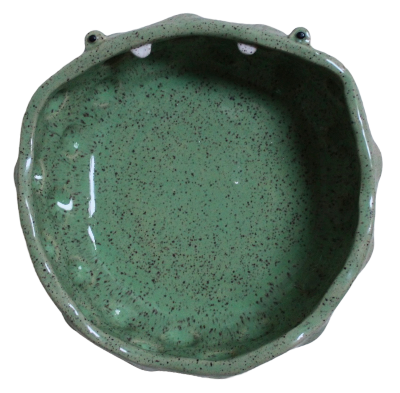Emotional Support Frog Fruit Bowl