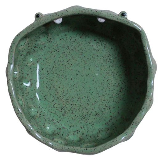 Emotional Support Frog Fruit Bowl