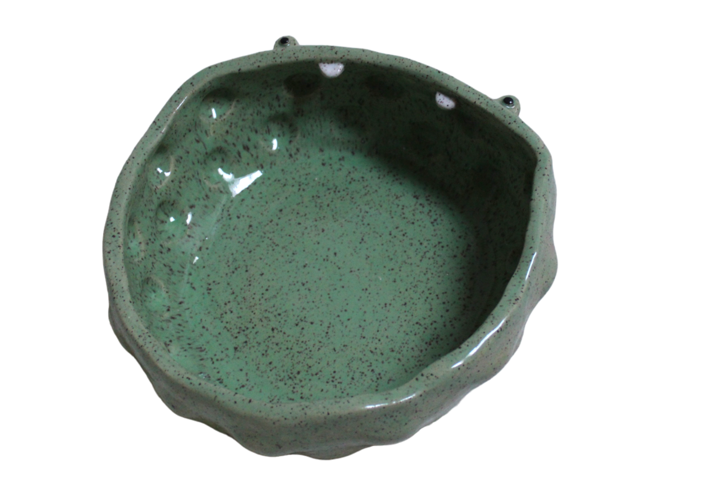 Emotional Support Frog Fruit Bowl